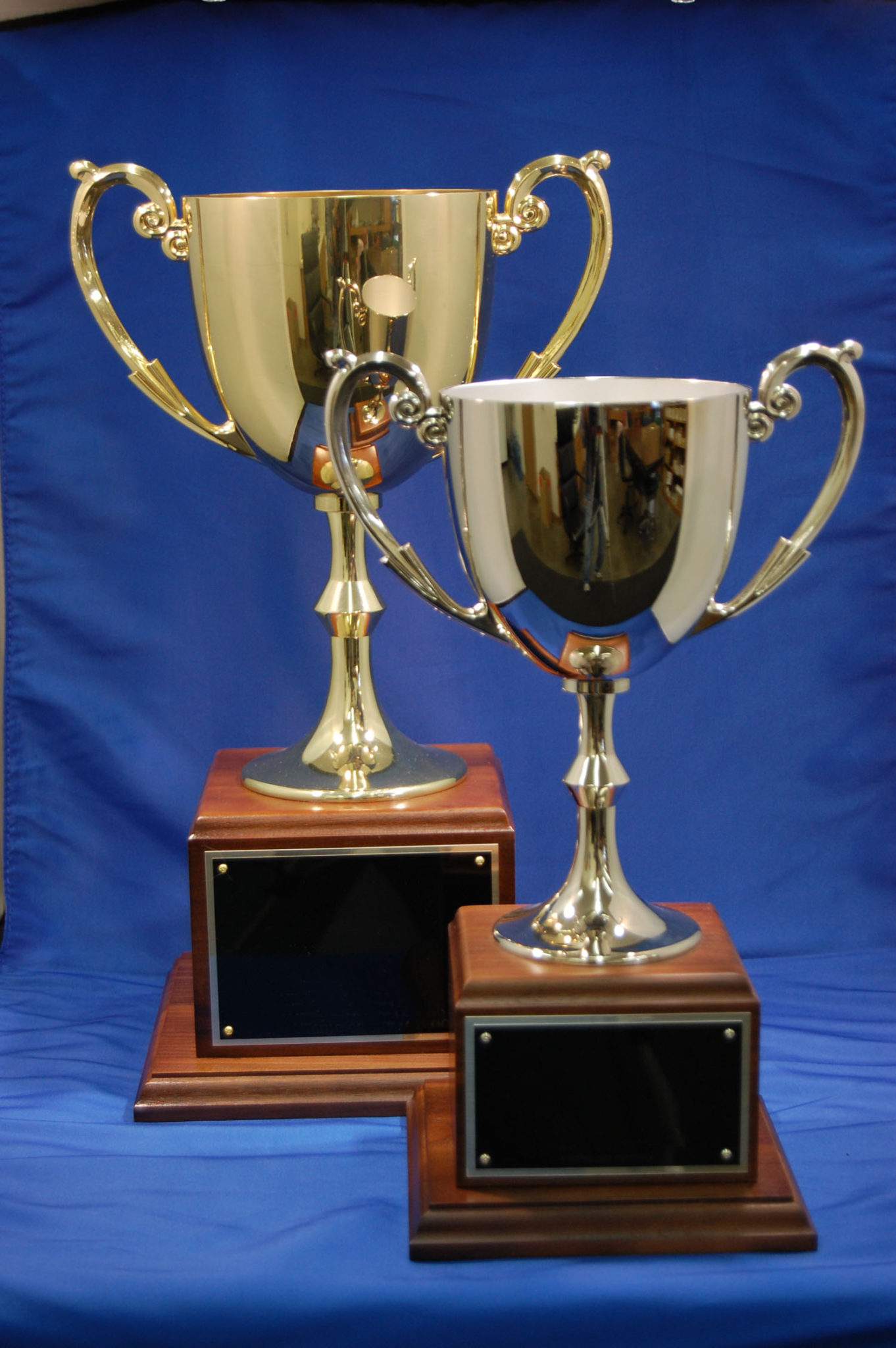 Western Trophy & Engraving Boise | Generic Trophies